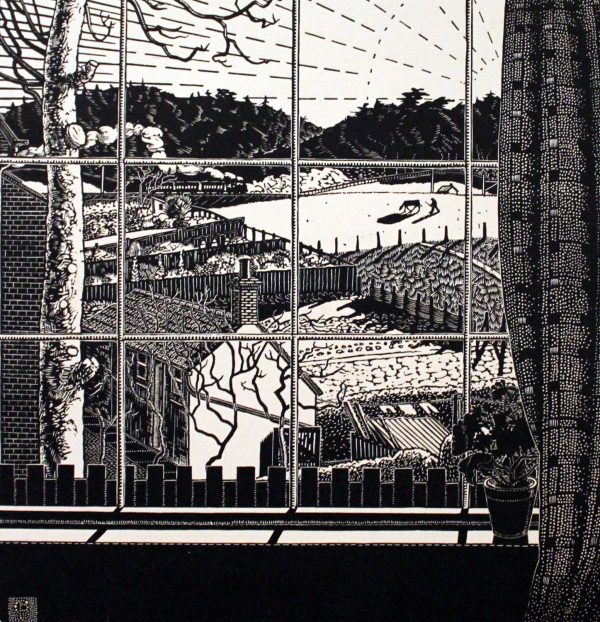 From my Window