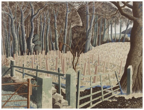 Plantation (1MB)
