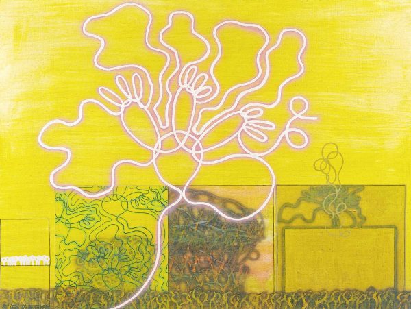 aaaCohen-Yellow